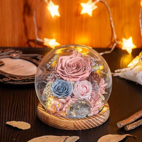 Preserved Flowers with Card&Box-Flowers for Delivery Prime,Eternal Rose with Lights,Roses in Glass Dome,Romantic Gift for Her,Mother’s Day,Birthday, Valentine's Day (Pink) in Saudi Arabia