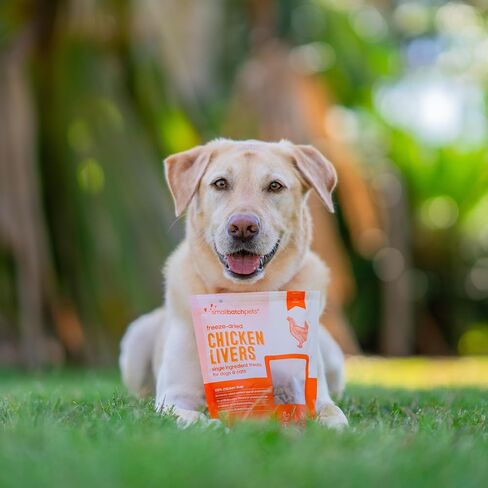 smallbatch Freeze-Dried Liver Treats for Dogs & Cats – Single-Ingredient, Protein-Rich, All-Natural Snacks – 100% Humanely Sourced – No Additives or Preservatives – (3.5 oz, Chicken) in Kuwait