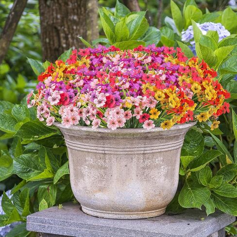 50 Bundles Artificial Flowers Outdoor Spring UV Resistant Fake Monkey Grass Daisy Flowers for Garden Porch Window Box Outside Decor (Onion) in Saudi Arabia