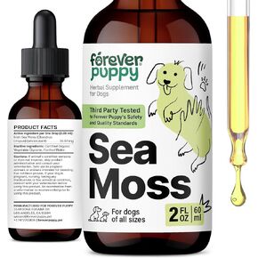 Irish Sea Moss Drops for Dogs - Thyroid & Energy Support for All Breeds & Sizes - Dog Food Supplements with Liquid Seamoss Extract - Vitamins and Supplements - Sugar & Alcohol-Free -4 oz in Kuwait