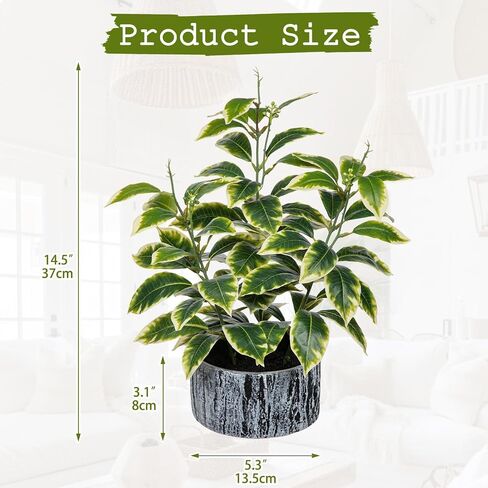 Artificial Plants Decor Greenery Fake Ficus White-edged Leaf with Seeds Indoor Potted 14" Fake Plant in Rustic Black Ceramic Planter for Farmhouse Room Bathroom Bedroom Kitchen Office Table Desk Decor in Saudi Arabia