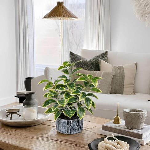 Artificial Plants Decor Greenery Fake Ficus White-edged Leaf with Seeds Indoor Potted 14" Fake Plant in Rustic Black Ceramic Planter for Farmhouse Room Bathroom Bedroom Kitchen Office Table Desk Decor in Saudi Arabia
