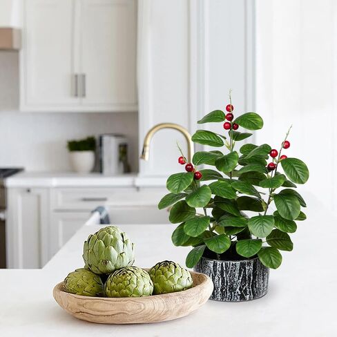 Artificial Plants Decor Greenery Fake Ficus White-edged Leaf with Seeds Indoor Potted 14" Fake Plant in Rustic Black Ceramic Planter for Farmhouse Room Bathroom Bedroom Kitchen Office Table Desk Decor in Saudi Arabia