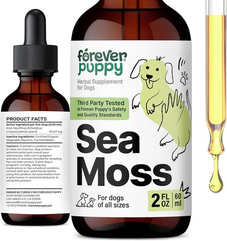 Irish Sea Moss Drops for Dogs - Thyroid & Energy Support for All Breeds & Sizes - Dog Food Supplements with Liquid Seamoss Extract - Vitamins and Supplements - Sugar & Alcohol-Free -4 oz in Kuwait