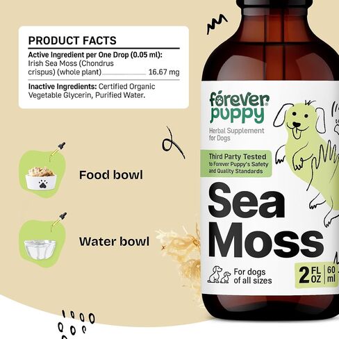 Irish Sea Moss Drops for Dogs - Thyroid & Energy Support for All Breeds & Sizes - Dog Food Supplements with Liquid Seamoss Extract - Vitamins and Supplements - Sugar & Alcohol-Free -4 oz in Kuwait