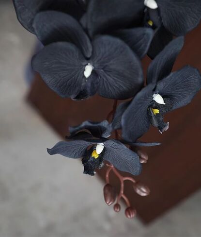 Corkwaw 3Pcs Artificial Fake Flowers Butterfly Orchid, Silk Plant Real Touch phalaenopsis is Used in Offices, Dining Table Centers, Weddings, Home Decoration (Black) in Kuwait
