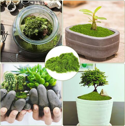 100 غرام طحالب اصطناعية للحرف اليدوية ، ديكور أخضر مزيف المحفوظ لمشاريع DIY ، الحدائق الخيالية ، القطع المركزية الزفاف ، ديكور المنزل ، ترتيبات الحفلات in Saudi Arabia