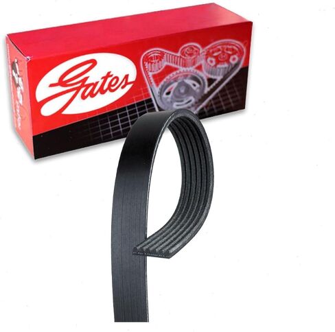 Gates Micro-V Serpentine Belt compatible with Ford F-150 4.2L 4.6L 5.4L V6 V8 1997-2008 in Saudi Arabia