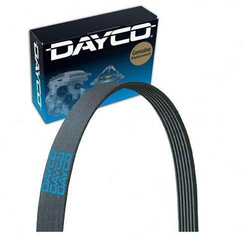 Dayco Poly Rib V-Ribbed Belt (A060664) in Saudi Arabia
