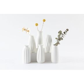 6-Piece Ceramic Vase Set，Colored and Plain Flower Bud Vases，Can Create Various Decorative Styles，Suitable for Home Decoration and as New Home Gift (FM-Color) in Saudi Arabia