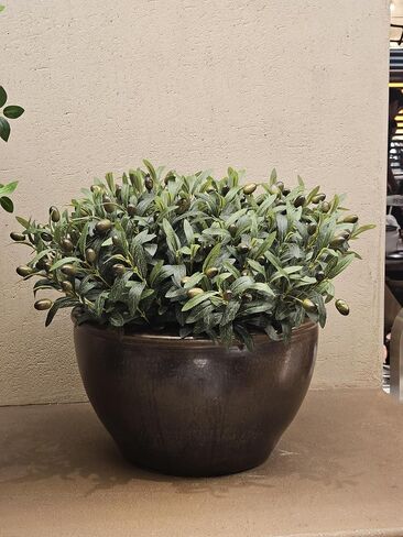 Olive Stems 6 Pcs 18 inch Artificial Olives Green Leaves Picks, Spring Branches Decor for Vase, Greenery Vase Filler Home Decoration Indoor in Kuwait