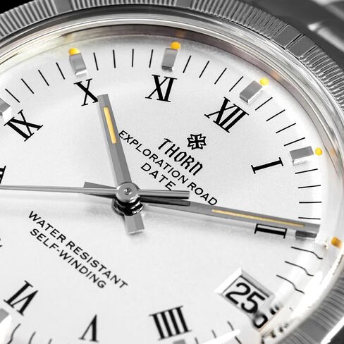 Thorn T004 34mm PT5000 Luxury Men's Mechanical Watch - Domed Sapphire Crystal C3 Luminous 100M Water Resistant in Saudi Arabia