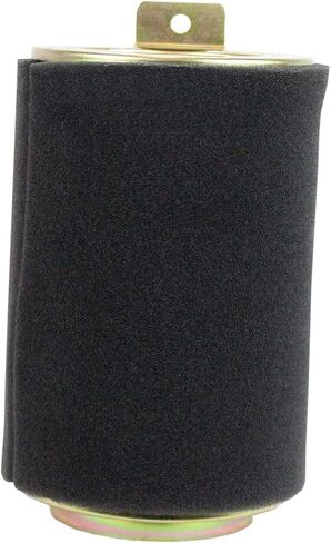Polaris Off Road Air Filter Specific for Outlaw 500, Easy Install, Four-Wheeler Air Filter, OEM Performance Air Filter, Sportsman ATV Part - 5812966 in Saudi Arabia