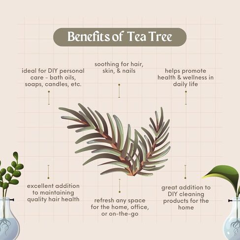 GreenHealth Tea Tree Oil Oil - 8 Fl Oz (237 مل) زجاجة زجاجية مع غطاء - زيت أساسي 100 ٪ in Saudi Arabia