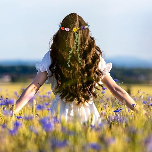 تاج زهرة ملون متنوع ، مهرجانات الحفلات الزهرية لأزهار الزهور ، العصابات ذات الألوان متعددة الألوان. in Kuwait