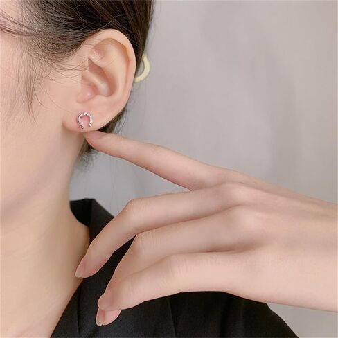 925 Silver Horseshoe Horse Stud Earrings for Women Unique Lightweight Cubic Zirconia Lucky Horseshoe Stud Earrings Animal Western Earrings in Saudi Arabia