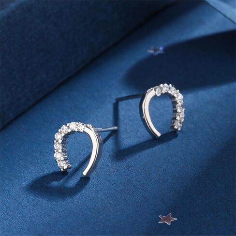 925 Silver Horseshoe Horse Stud Earrings for Women Unique Lightweight Cubic Zirconia Lucky Horseshoe Stud Earrings Animal Western Earrings in Saudi Arabia