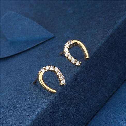 925 Silver Horseshoe Horse Stud Earrings for Women Unique Lightweight Cubic Zirconia Lucky Horseshoe Stud Earrings Animal Western Earrings in Saudi Arabia