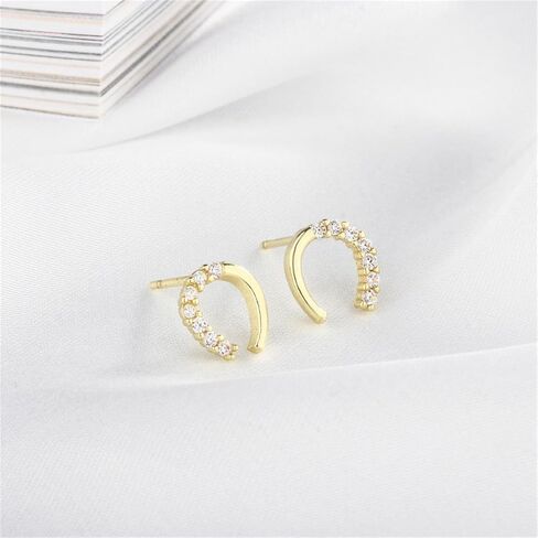925 Silver Horseshoe Horse Stud Earrings for Women Unique Lightweight Cubic Zirconia Lucky Horseshoe Stud Earrings Animal Western Earrings in Saudi Arabia