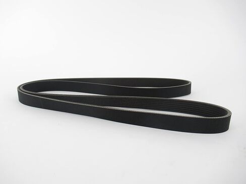 Serpentine Belt in Saudi Arabia