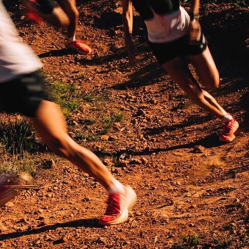 Adidas Mens Terrex Agravic Speed Ultra Trail Trail Runnakers أحذية - Orange - حجم 8 م in Saudi Arabia
