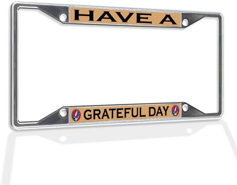 FastasticDeals Metal Insert Plate Plate Frame لديها ملحقات سيارة مقاومة للطقس بالامتنان in Saudi Arabia