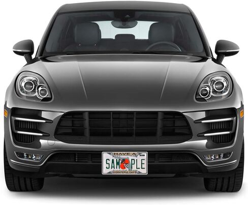 FastasticDeals Metal Insert Plate Plate Frame لديها ملحقات سيارة مقاومة للطقس بالامتنان in Saudi Arabia