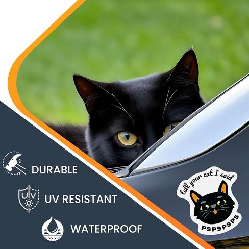 MAGNET ME UP أخبر قطتك قلت PSPSPSPS مضحكة ملصق مغناطيس لطيف ، 4.5x4.5 مغناطيس السيارات الثقيلة لشاحنة السيارة أو أي سطح مغناطيسي ، هدية فكاهية مثالية لمحبي القط ، المصنوعة في الولايات المتحدة الأمريكية in Saudi Arabia