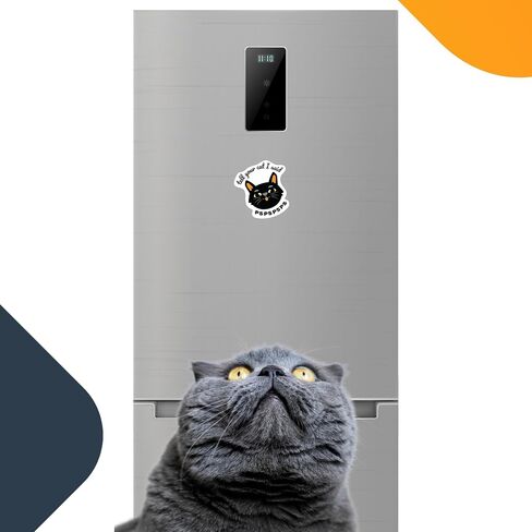 MAGNET ME UP أخبر قطتك قلت PSPSPSPS مضحكة ملصق مغناطيس لطيف ، 4.5x4.5 مغناطيس السيارات الثقيلة لشاحنة السيارة أو أي سطح مغناطيسي ، هدية فكاهية مثالية لمحبي القط ، المصنوعة في الولايات المتحدة الأمريكية in Saudi Arabia