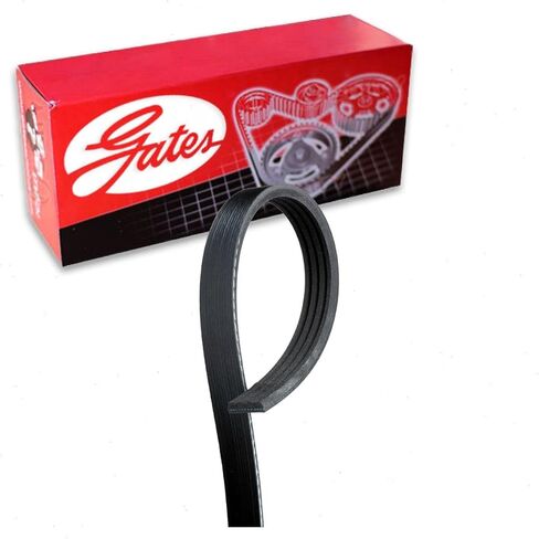 Gates AC Micro-V Serpentine Belt متوافق مع Subaru Forester 2.5L H4 1998-2007 in Saudi Arabia