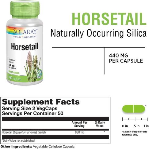 Solaray Horsetail 880 Mg | ملحق السيليكا للشعر الصحي والجلد والأظافر ودعم المفصل | 50 حصة | 100 VEGCAPS in Kuwait
