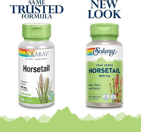 Solaray Horsetail 880 Mg | ملحق السيليكا للشعر الصحي والجلد والأظافر ودعم المفصل | 50 حصة | 100 VEGCAPS in Kuwait