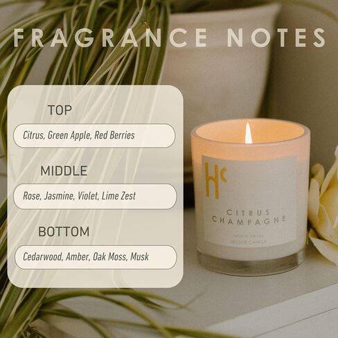 Night Blossom Single Wick Soy Candles, Luxury Scented Candles for Home - Up to 60 Hour Burn Time, Cruelty-Free Soy Wax Blend - Jasmine Fragrance, Notes of Apple & Musk (9 oz) in Saudi Arabia