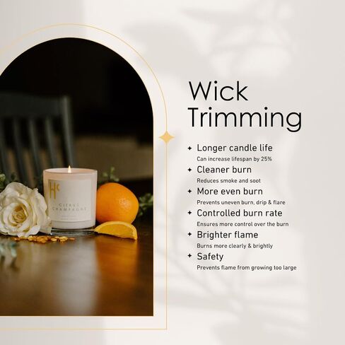 Night Blossom Single Wick Soy Candles, Luxury Scented Candles for Home - Up to 60 Hour Burn Time, Cruelty-Free Soy Wax Blend - Jasmine Fragrance, Notes of Apple & Musk (9 oz) in Saudi Arabia