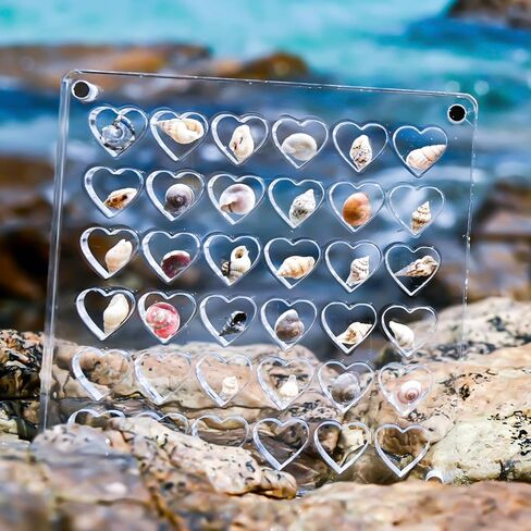 Acrylic Magnetic Seashell Display Box, Clear Small Craft Organizer Box Heart-Shaped Seashell Display Case Seashell Storage Box Container for Bead Nail Jewelry (36 Grids) in Saudi Arabia