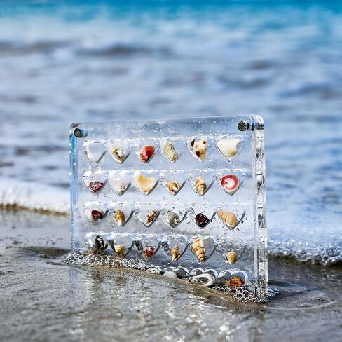 Acrylic Magnetic Seashell Display Box, Clear Small Craft Organizer Box Heart-Shaped Seashell Display Case Seashell Storage Box Container for Bead Nail Jewelry (36 Grids) in Saudi Arabia