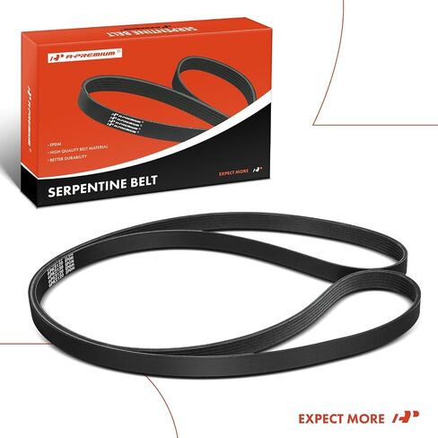 A-Premium Engine Serpentine Drive Belt Compatible with Chevrolet, Dodge, Ford, Jeep, Lexus & Saab Cars - Grand Cherokee 2018-2021, Camaro, Caprice, Challenger, Charger, Durango, Focus, GS430, 9-3 in Saudi Arabia