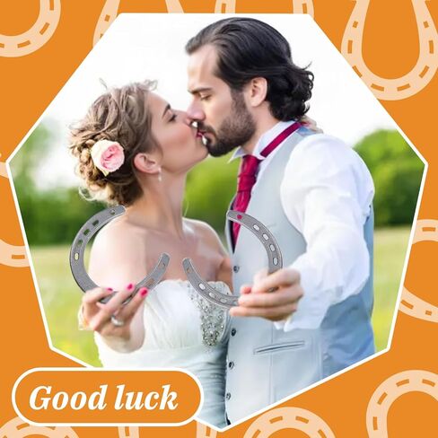 8 Pcs Cast Iron Horseshoe, Cast Iron Horseshoe Wall Decor for Good Lucky in Kuwait