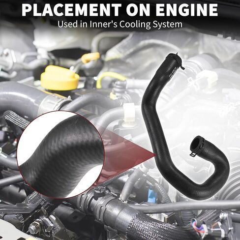 خرطوم مبرد الرادياتير لـ Ford Focus 1.8 2.0 2004-2012 High Sealing No.3m5H8286DH | خرطوم سائل تبريد المحرك السفلي لفورد C-Max 1.8 2.0 2004-2010 1 PCS in Saudi Arabia