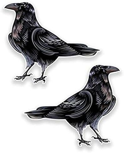 Raven Crow Vinyl Sticker - Sticker Graphic - Waterproof - Fade Resistant Die Cut in Saudi Arabia