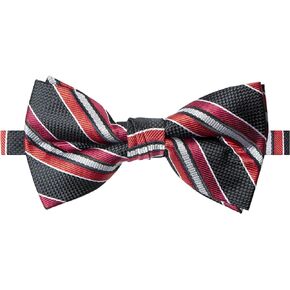 Spring Notion Men's Patterned Bow Tie