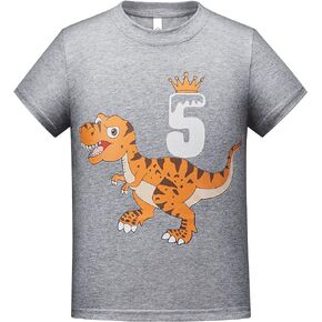 Premium Toddler 5th Birthday Tshirt boy 5 Year Old Kids Boys Girls Birthday Gift 5yr Five Year Old Fifth Tshirt 5T