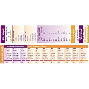 French Vocabulary Verb Conjugation Reference Bookmarks, Language Educational Reference Tool, Teacher Classroom Instruction, Reward and Gift for Young Students, 64 Pack