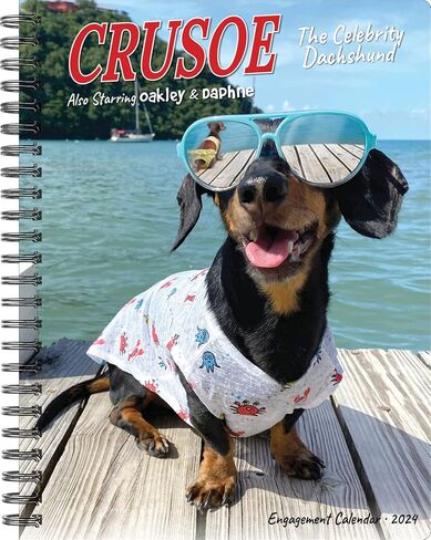 Crusoe the Celebrity Dachshund Softcover مخطط أسبوعي 2024 تقويم خطوبة حلزوني (6.5 بوصة × 8.5 بوصة) in Saudi Arabia
