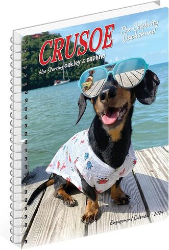 Crusoe the Celebrity Dachshund Softcover مخطط أسبوعي 2024 تقويم خطوبة حلزوني (6.5 بوصة × 8.5 بوصة) in Saudi Arabia