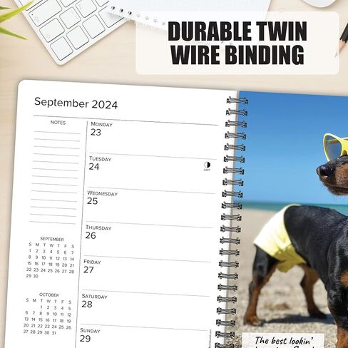 Crusoe the Celebrity Dachshund Softcover مخطط أسبوعي 2024 تقويم خطوبة حلزوني (6.5 بوصة × 8.5 بوصة) in Saudi Arabia