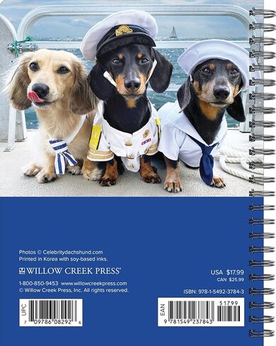 Crusoe the Celebrity Dachshund Softcover مخطط أسبوعي 2024 تقويم خطوبة حلزوني (6.5 بوصة × 8.5 بوصة) in Saudi Arabia