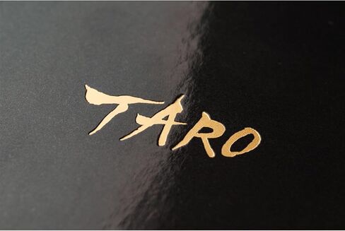 Hobonichi Techo Weeks [Japanese/Weekly Monthly Planner/Tall and Slim Size/Apr 2024 Start] Taro Okamoto: Three Faces in Saudi Arabia
