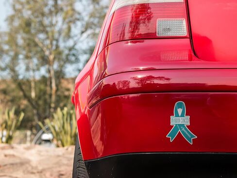 Appendix Cancer Sticker 5" - Durable, Waterproof Vinyl Decal - Sticker for Car Windows, Tablets, Laptops, Water Bottles, etc. 5" in Saudi Arabia