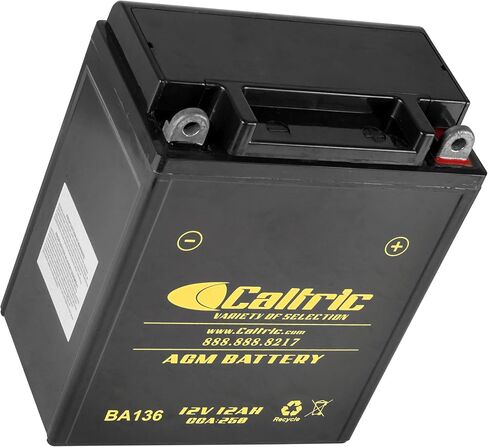 Caltric YB12AL-A2 AGM بطارية متوافقة مع Yamaha FZR600 FZR600R 1989 1990 1991 1992 1993-1999 in Saudi Arabia